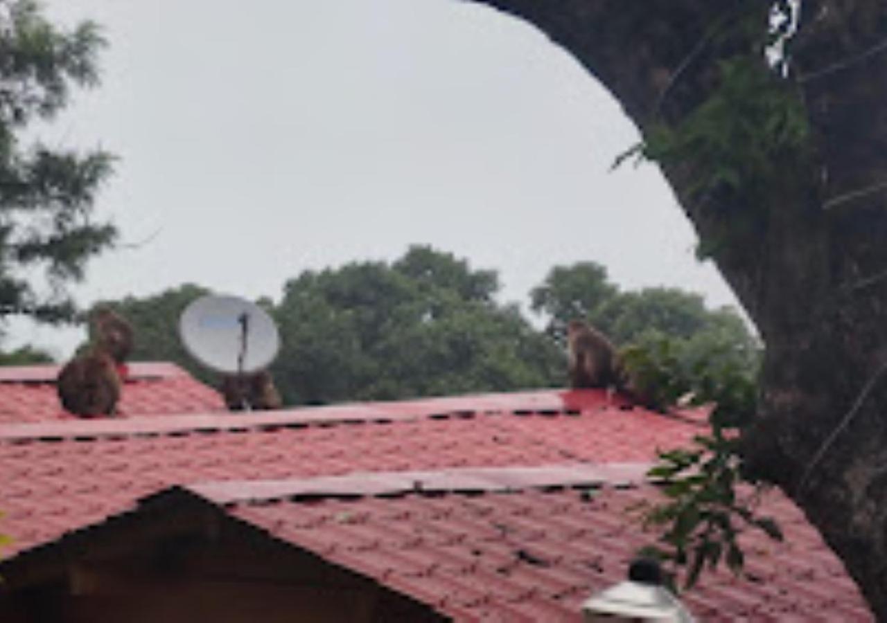 Kaas Woods Resort Yavateshwar Satara Buitenkant foto
