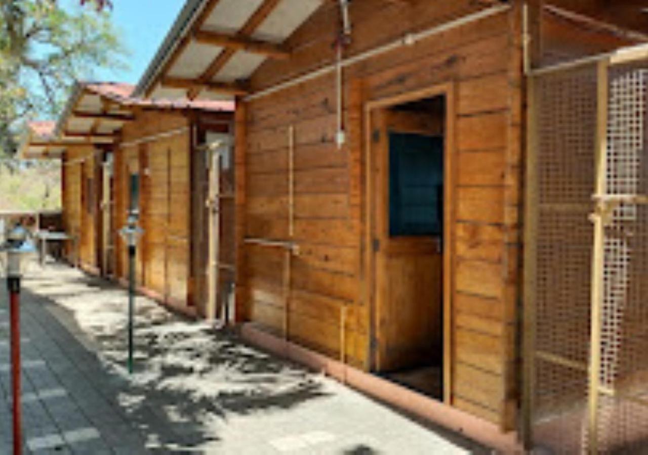 Kaas Woods Resort Yavateshwar Satara Buitenkant foto